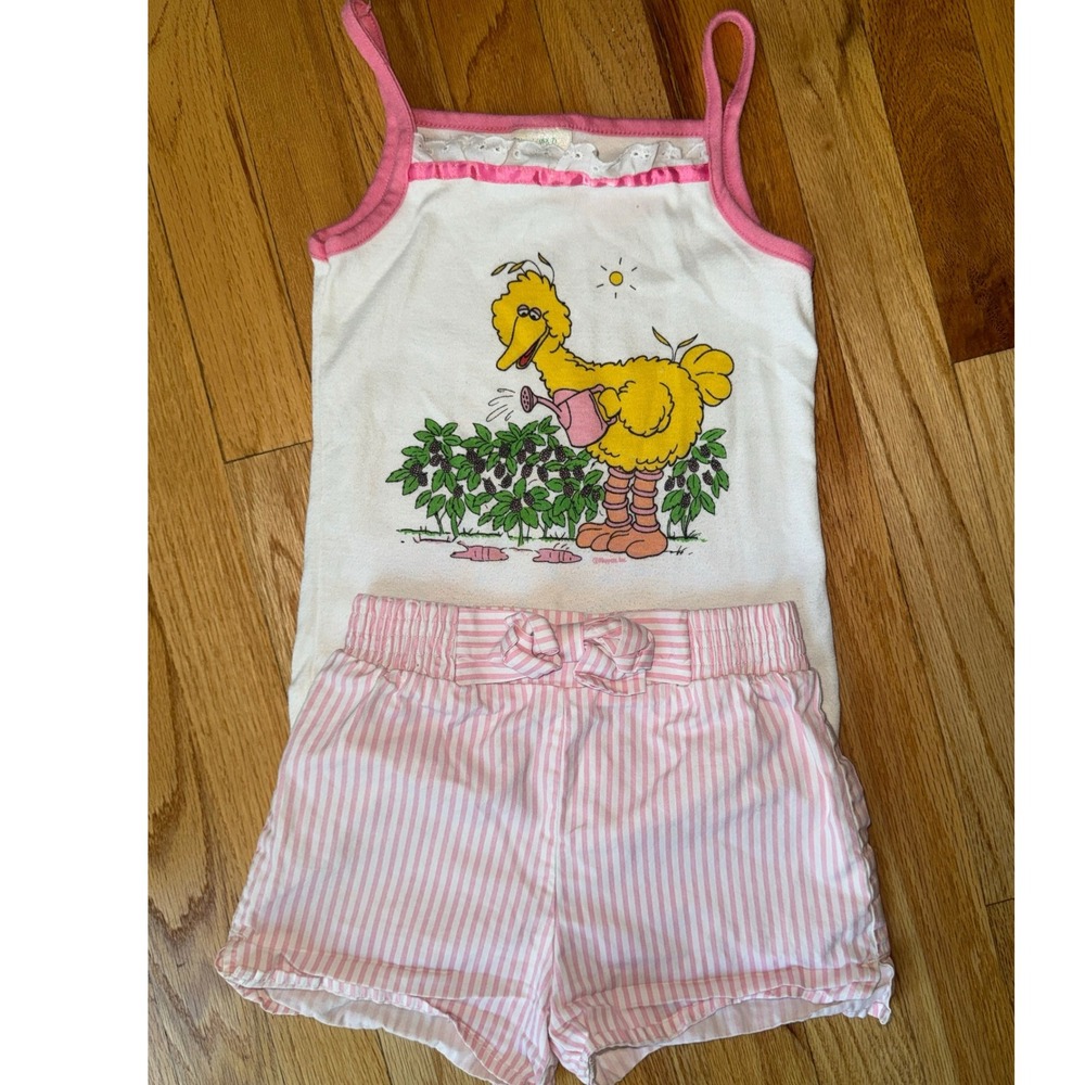 Vintage 80s Sesame Street Big Bird Pajama Set Girls 6X Pink Stripe Ruffle Tank